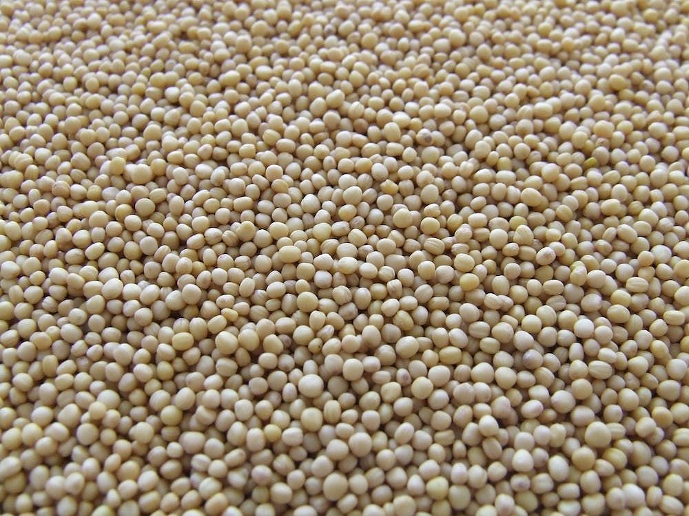 The high protein content, heart-healthy fats, and essential vitamins and minerals make nutrition in soy milk a valuable addition to any diet. (Pixabay/ Pexels)